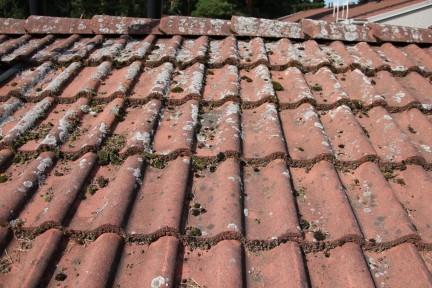 Ajallaan tehty kattohuolto on taloyhtiön etu – pinnoitteella säästytään yleensä kalliilta remonteilta.