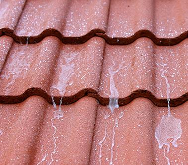 Kattojen huollot – 5 syytä säännölliseen kattohuoltoon